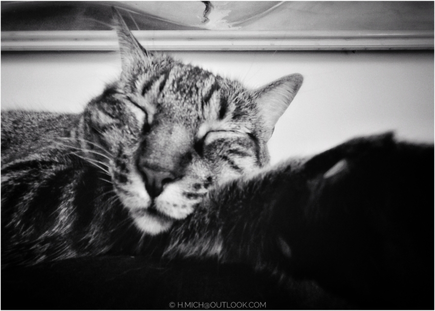 Studio-One.Art.br Repo Fotografia em Rio Preto SP/Brasil