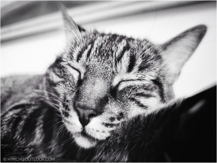 Studio-One.Art.br Repo Fotografia em Rio Preto SP/Brasil