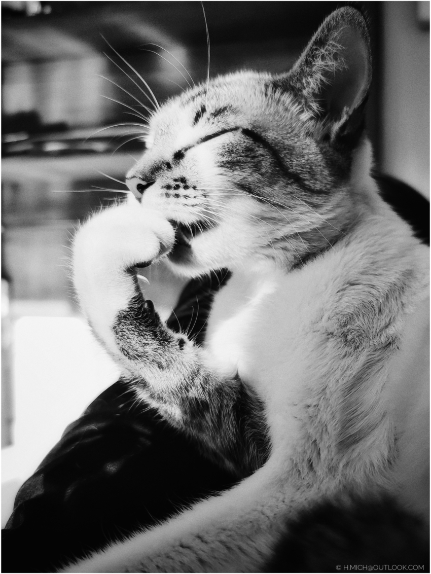 Studio-One.Art.br Repo Fotografia em Rio Preto SP/Brasil