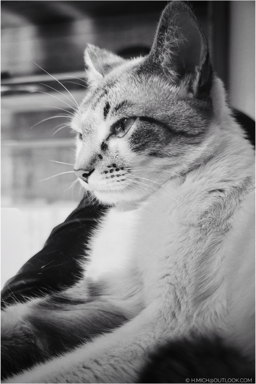 Studio-One.Art.br Repo Fotografia em Rio Preto SP/Brasil