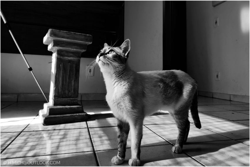 Studio-One.Art.br Repo Fotografia em Rio Preto SP/Brasil