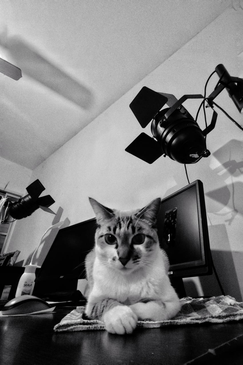 Studio-One.Art.br Repo Fotografia em Rio Preto SP/Brasil