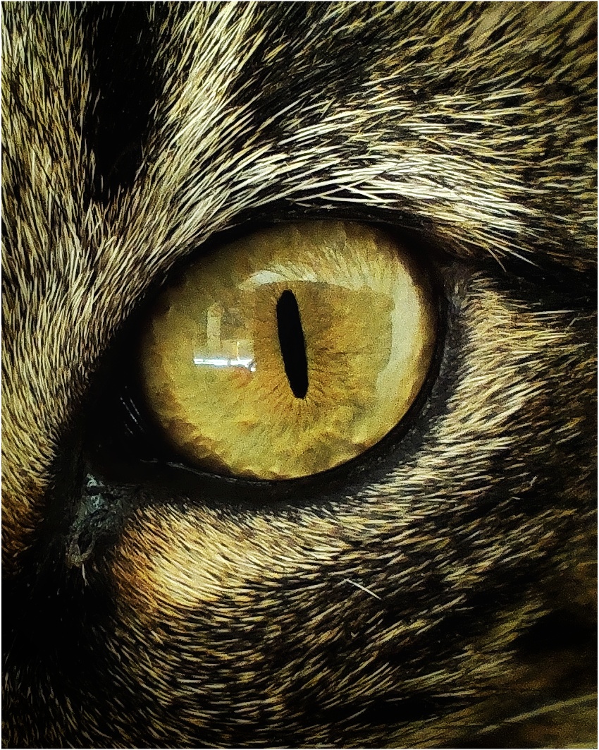 Studio-One.Art.br Repo Fotografia em Rio Preto SP/Brasil