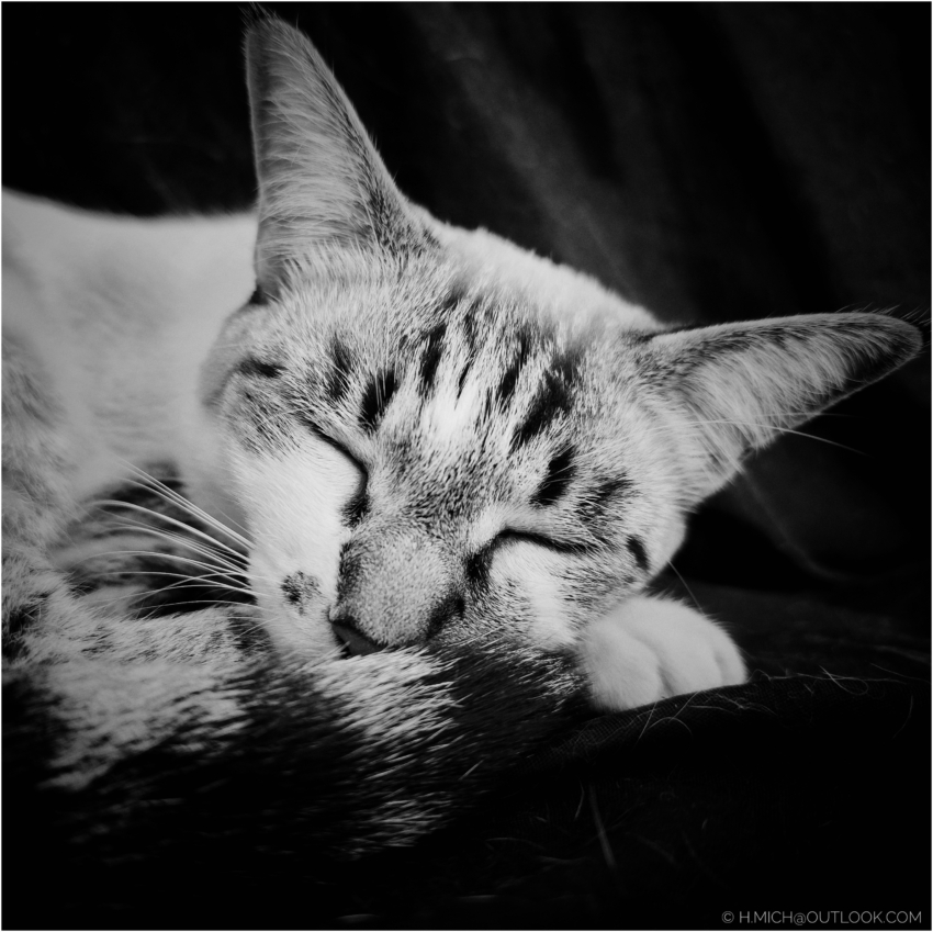 Studio-One.Art.br Repo Fotografia em Rio Preto SP/Brasil