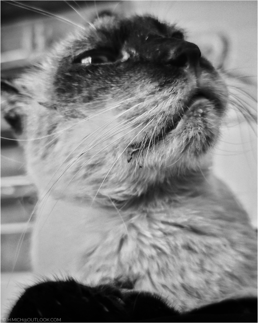 Studio-One.Art.br Repo Fotografia em Rio Preto SP/Brasil