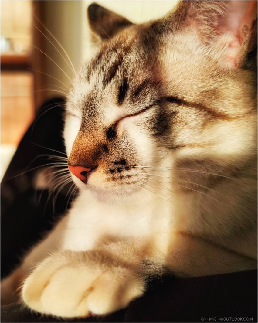 Studio-One.Art.br Repo Fotografia em Rio Preto SP/Brasil