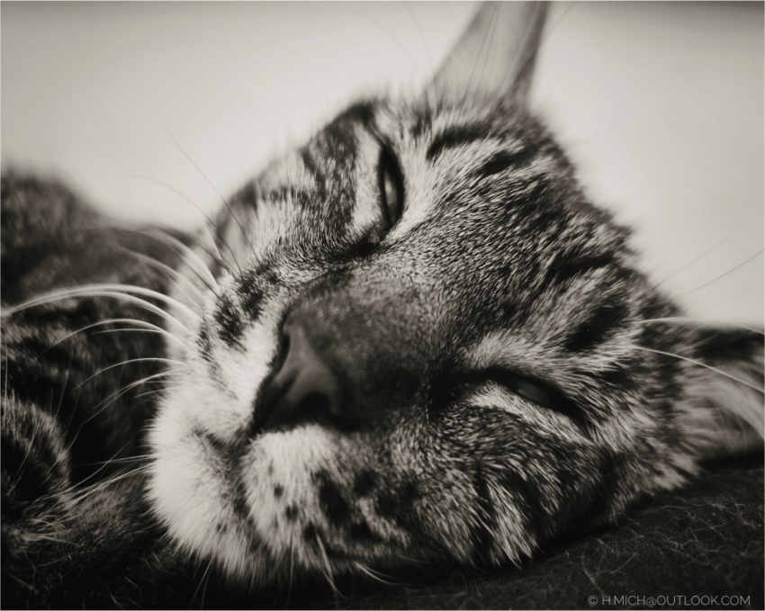 Studio-One.Art.br Repo Fotografia em Rio Preto SP/Brasil