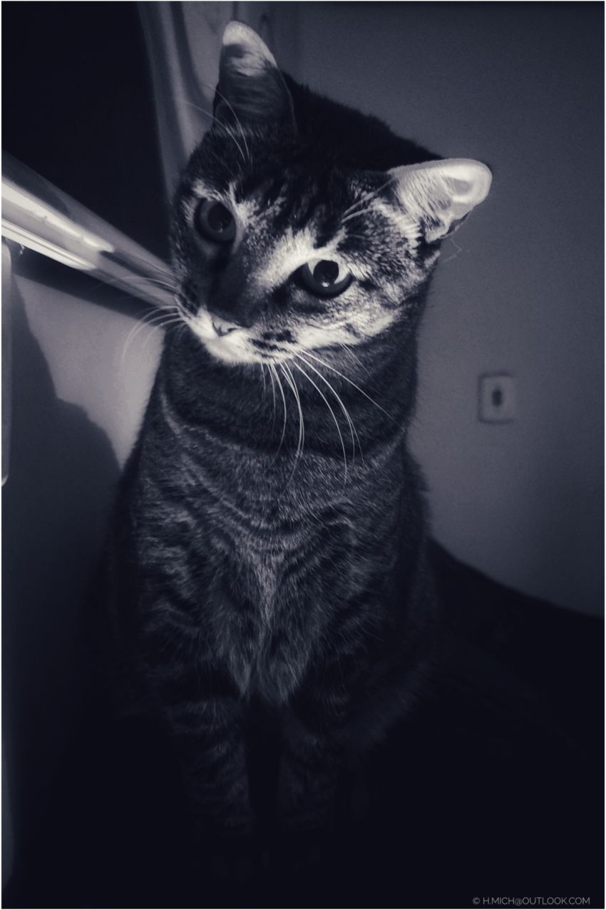 Studio-One.Art.br Repo Fotografia em Rio Preto SP/Brasil