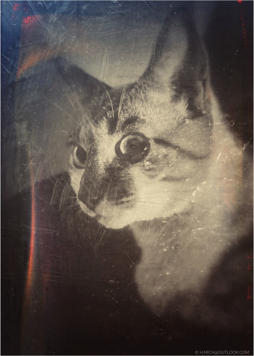 Studio-One.Art.br Repo Fotografia em Rio Preto SP/Brasil