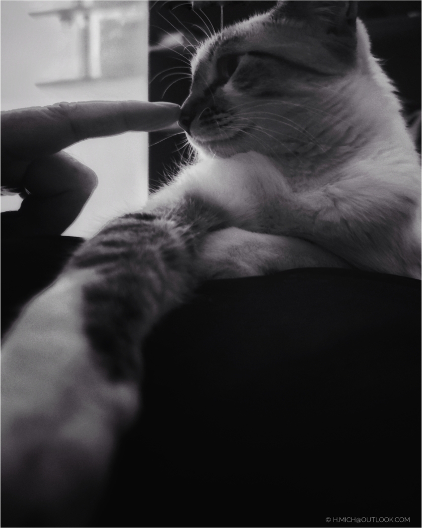 Studio-One.Art.br Repo Fotografia em Rio Preto SP/Brasil