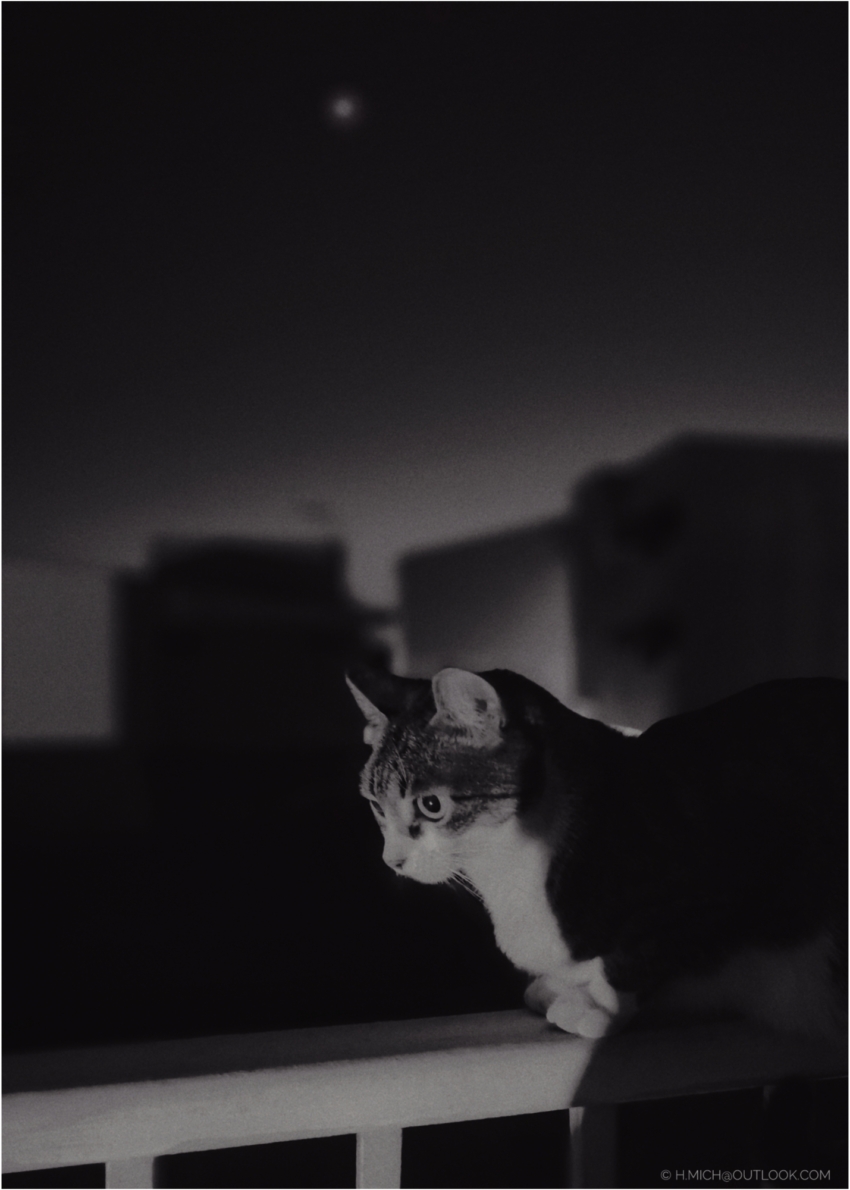 Studio-One.Art.br Repo Fotografia em Rio Preto SP/Brasil