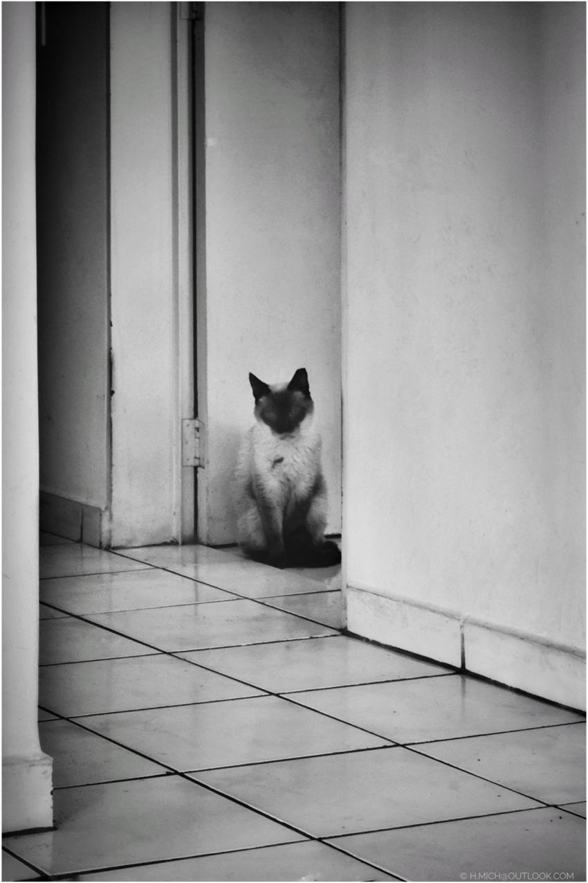 Studio-One.Art.br Repo Fotografia em Rio Preto SP/Brasil