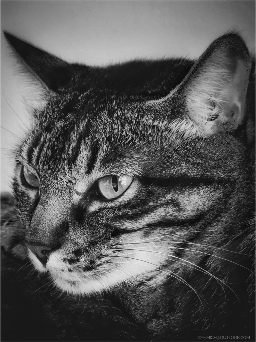 Studio-One.Art.br Repo Fotografia em Rio Preto SP/Brasil