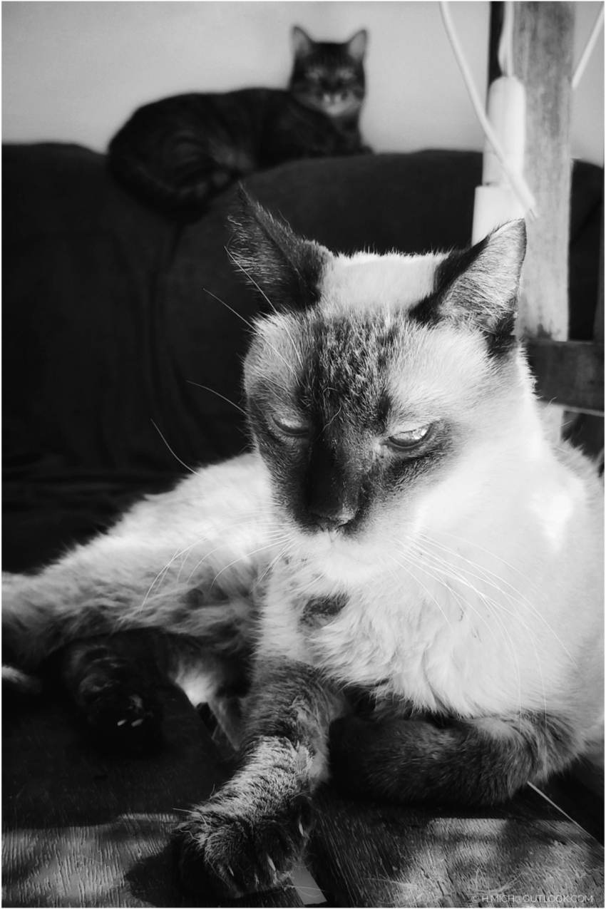 Studio-One.Art.br Repo Fotografia em Rio Preto SP/Brasil