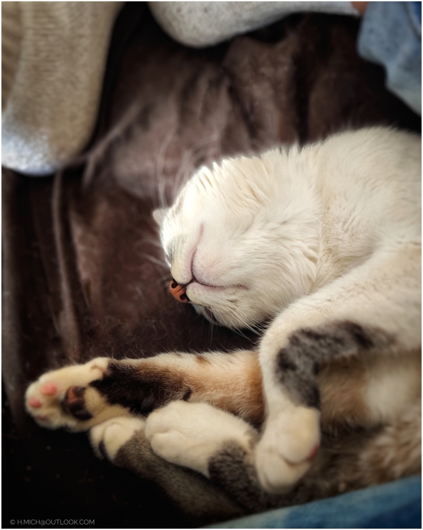 Studio-One.Art.br Repo Fotografia em Rio Preto SP/Brasil