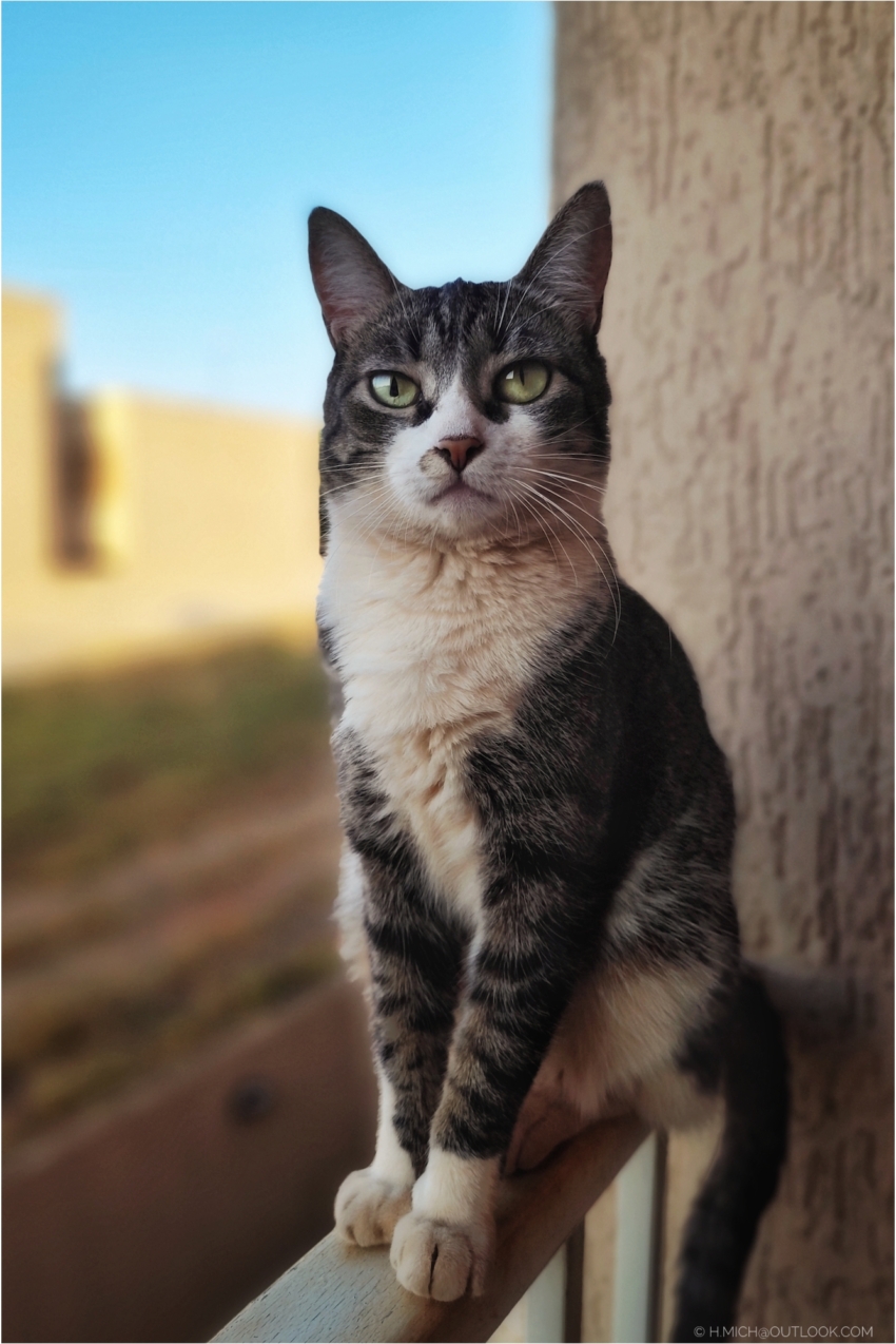 Studio-One.Art.br Repo Fotografia em Rio Preto SP/Brasil