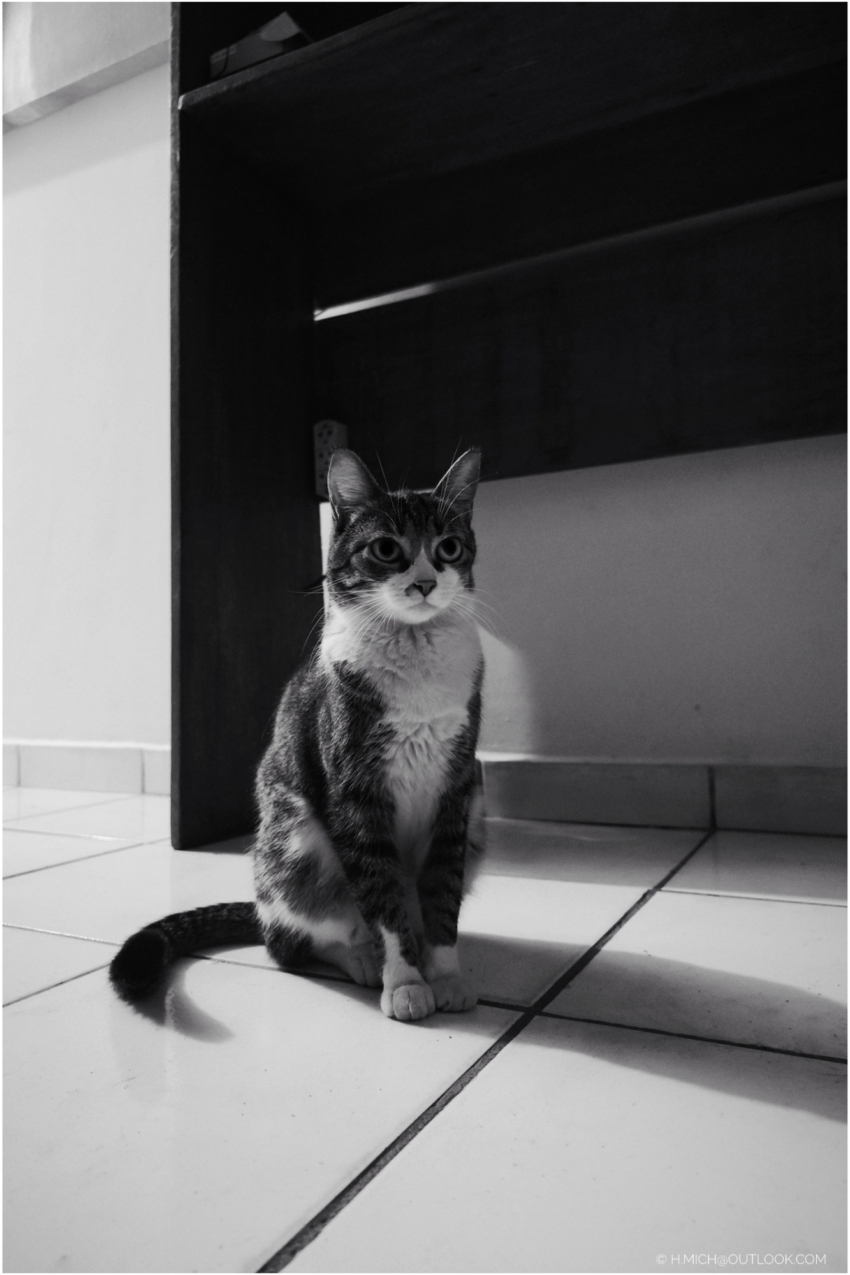 Studio-One.Art.br Repo Fotografia em Rio Preto SP/Brasil