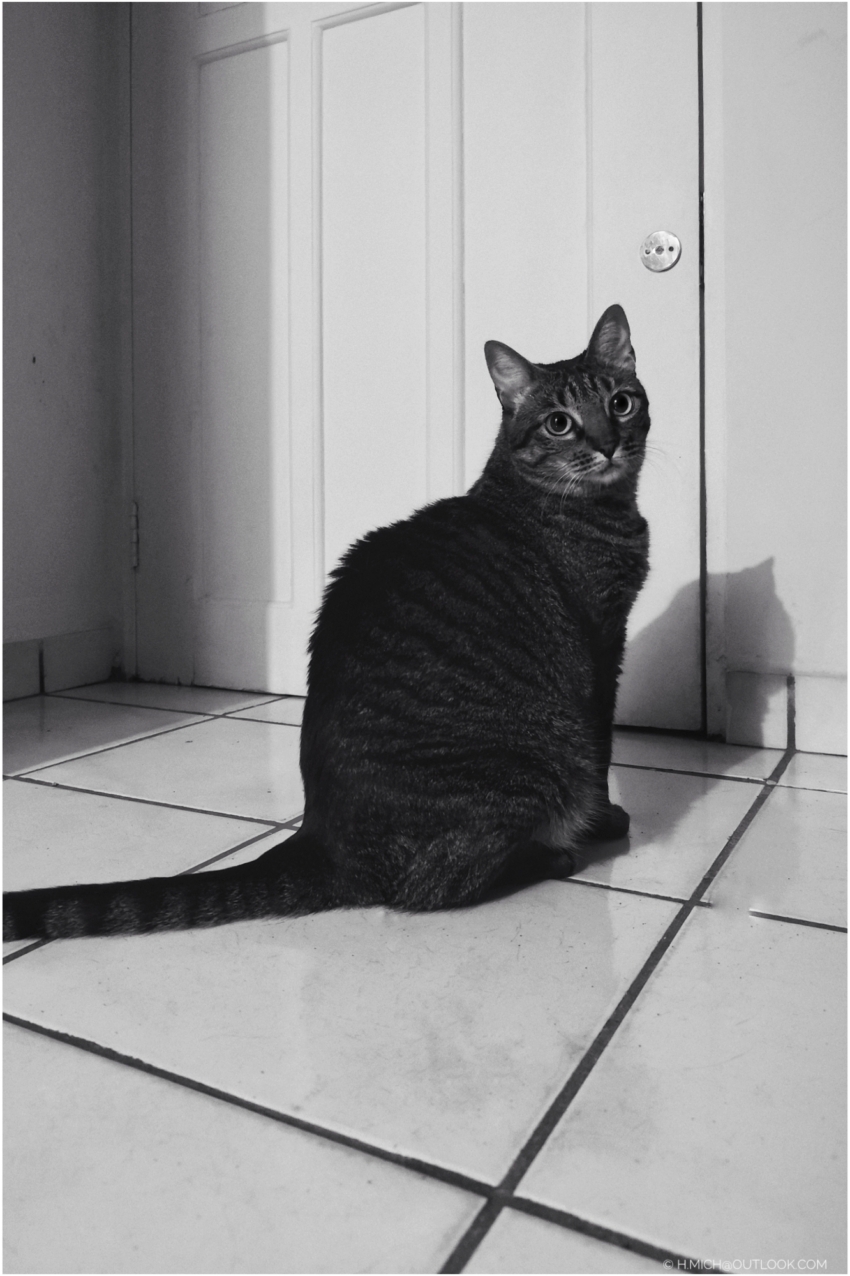 Studio-One.Art.br Repo Fotografia em Rio Preto SP/Brasil