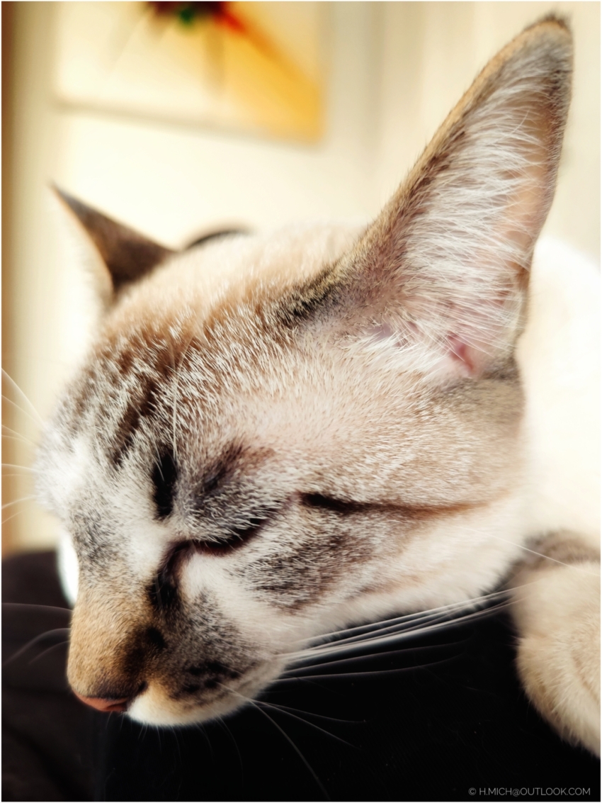 Studio-One.Art.br Repo Fotografia em Rio Preto SP/Brasil