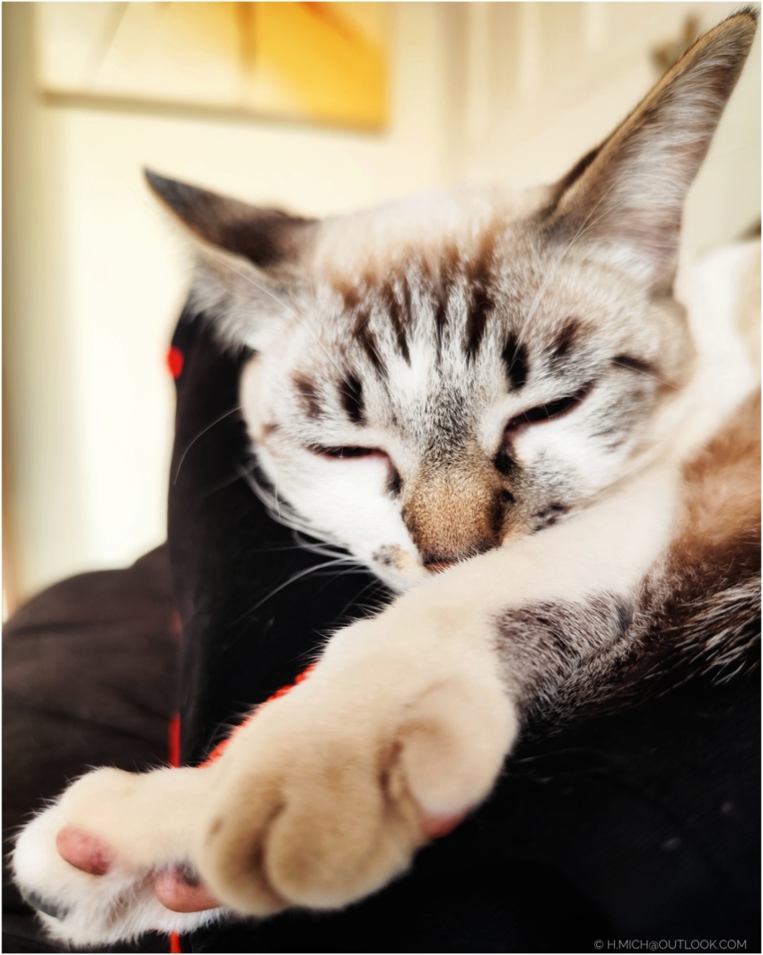 Studio-One.Art.br Repo Fotografia em Rio Preto SP/Brasil