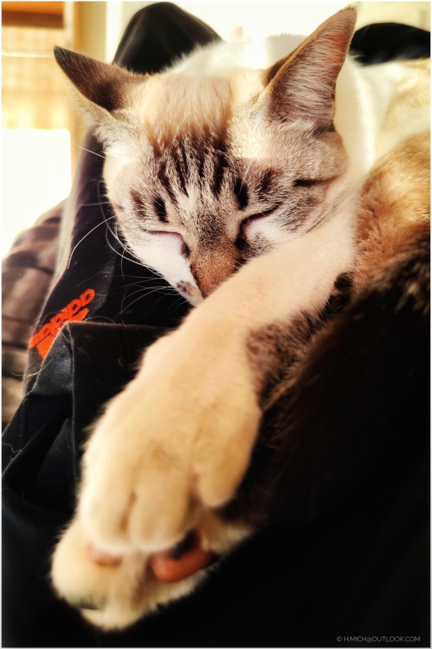 Studio-One.Art.br Repo Fotografia em Rio Preto SP/Brasil