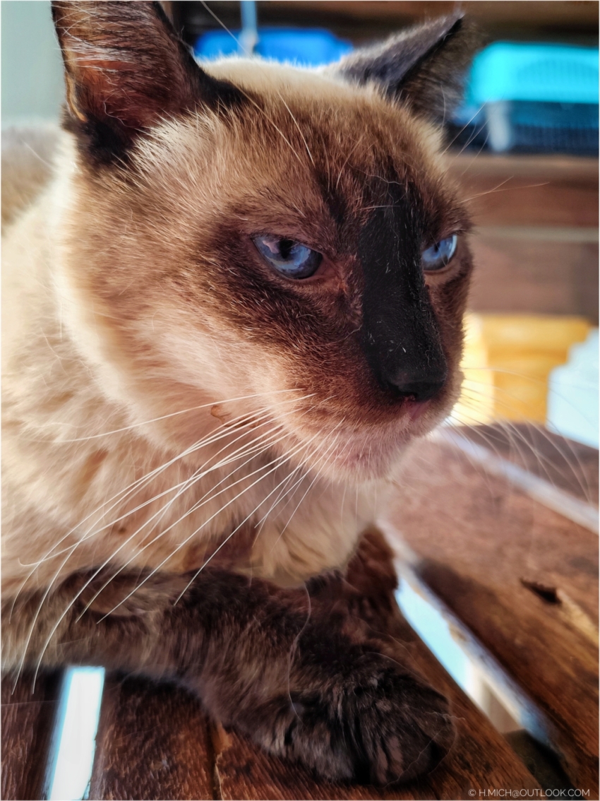 Studio-One.Art.br Repo Fotografia em Rio Preto SP/Brasil