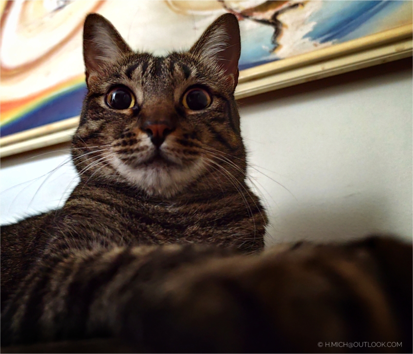 Studio-One.Art.br Repo Fotografia em Rio Preto SP/Brasil