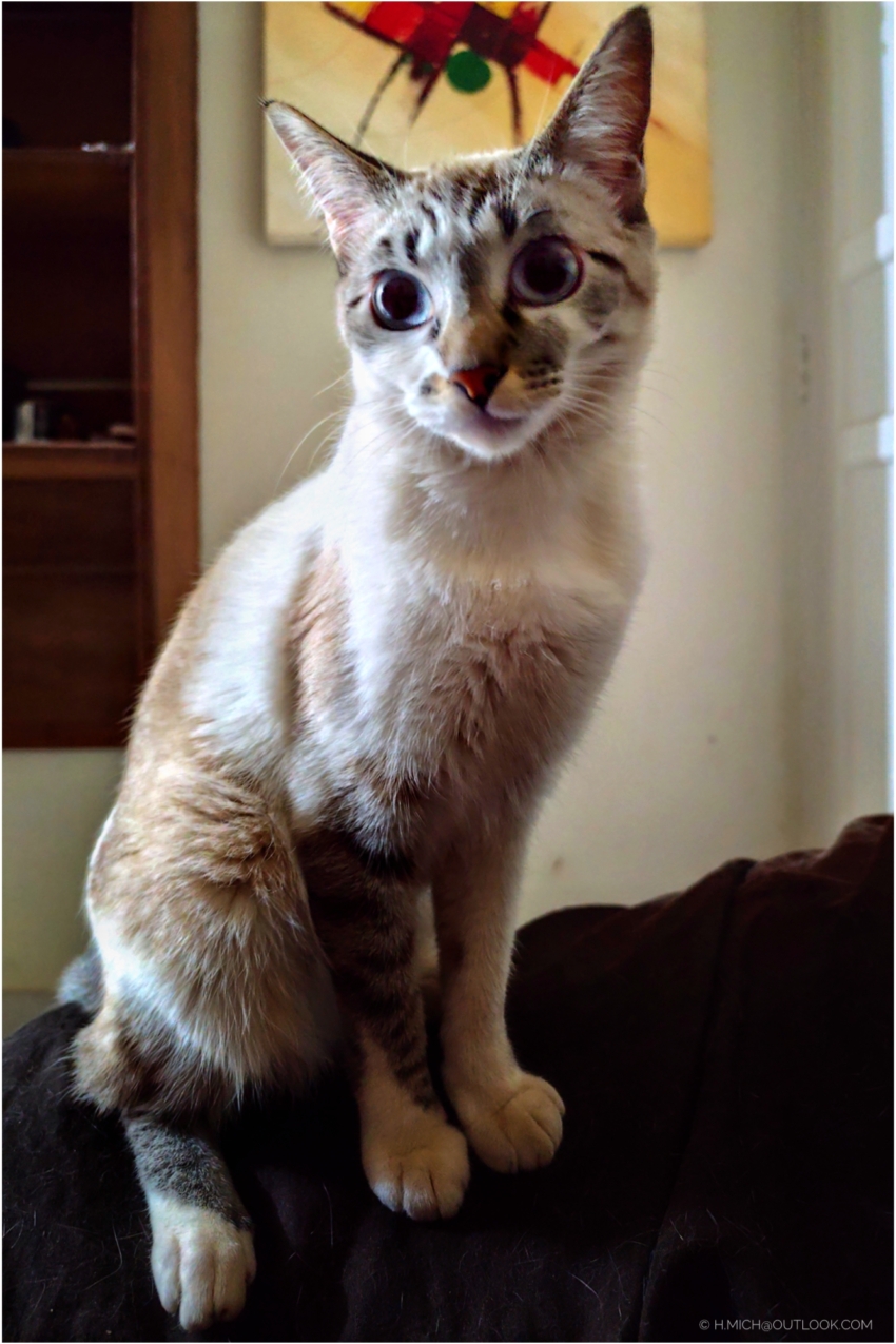 Studio-One.Art.br Repo Fotografia em Rio Preto SP/Brasil