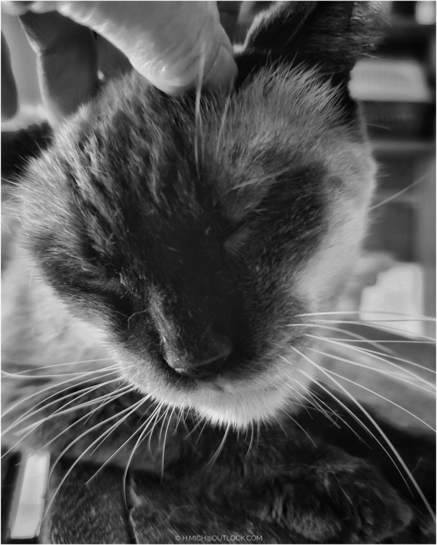 Studio-One.Art.br Repo Fotografia em Rio Preto SP/Brasil