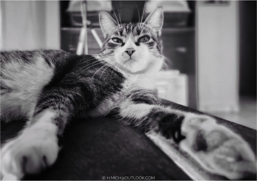 Studio-One.Art.br Repo Fotografia em Rio Preto SP/Brasil