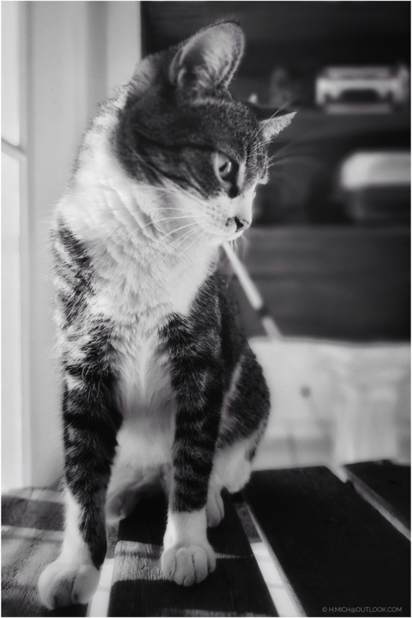 Studio-One.Art.br Repo Fotografia em Rio Preto SP/Brasil