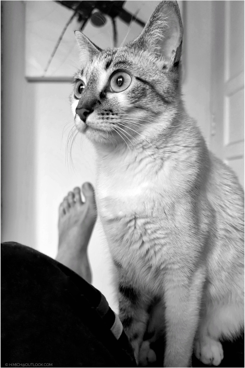 Studio-One.Art.br Repo Fotografia em Rio Preto SP/Brasil