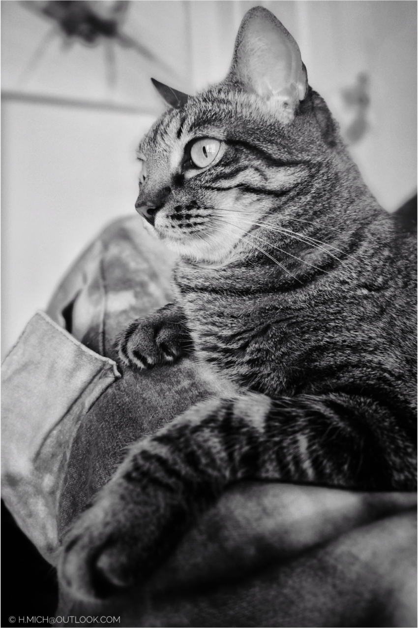 Studio-One.Art.br Repo Fotografia em Rio Preto SP/Brasil