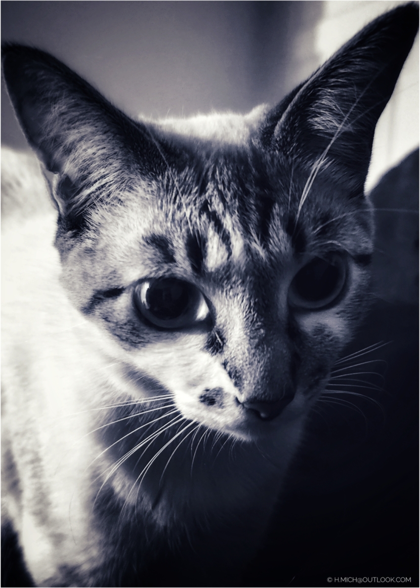 Studio-One.Art.br Repo Fotografia em Rio Preto SP/Brasil