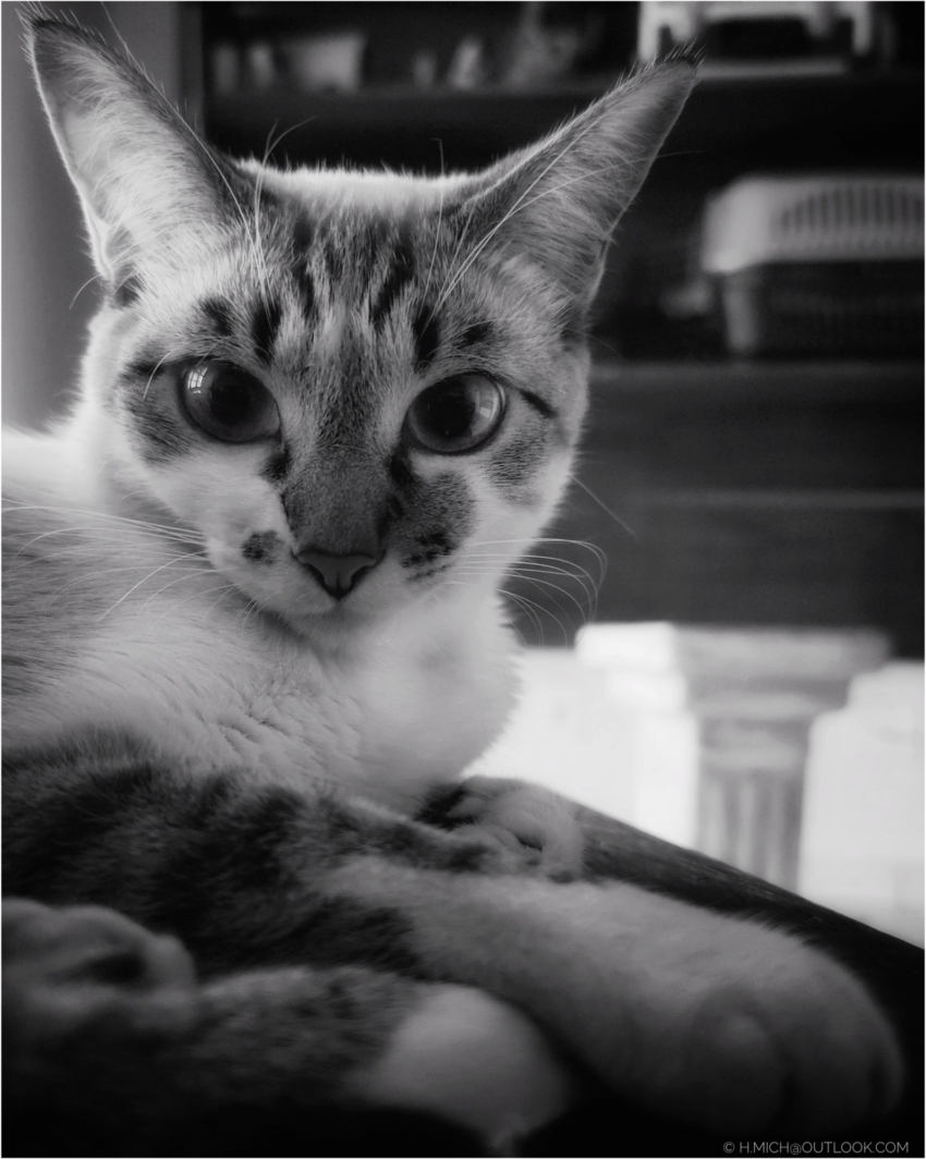 Studio-One.Art.br Repo Fotografia em Rio Preto SP/Brasil