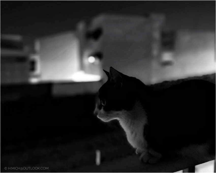 Studio-One.Art.br Repo Fotografia em Rio Preto SP/Brasil