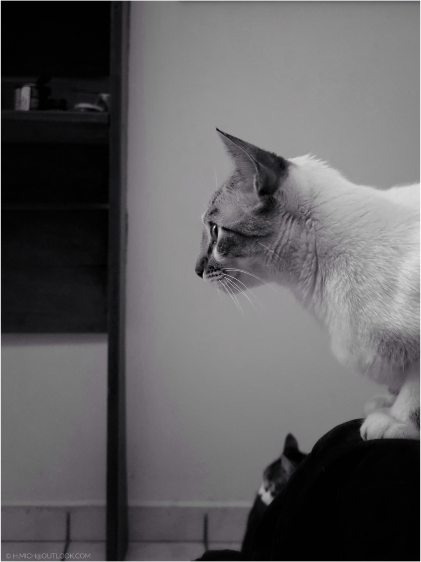 Studio-One.Art.br Repo Fotografia em Rio Preto SP/Brasil