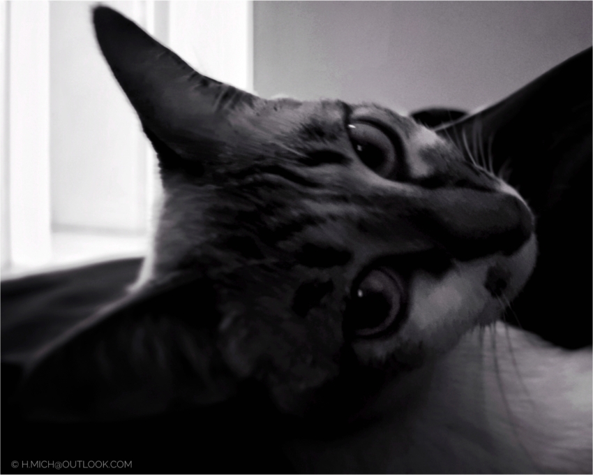 Studio-One.Art.br Repo Fotografia em Rio Preto SP/Brasil