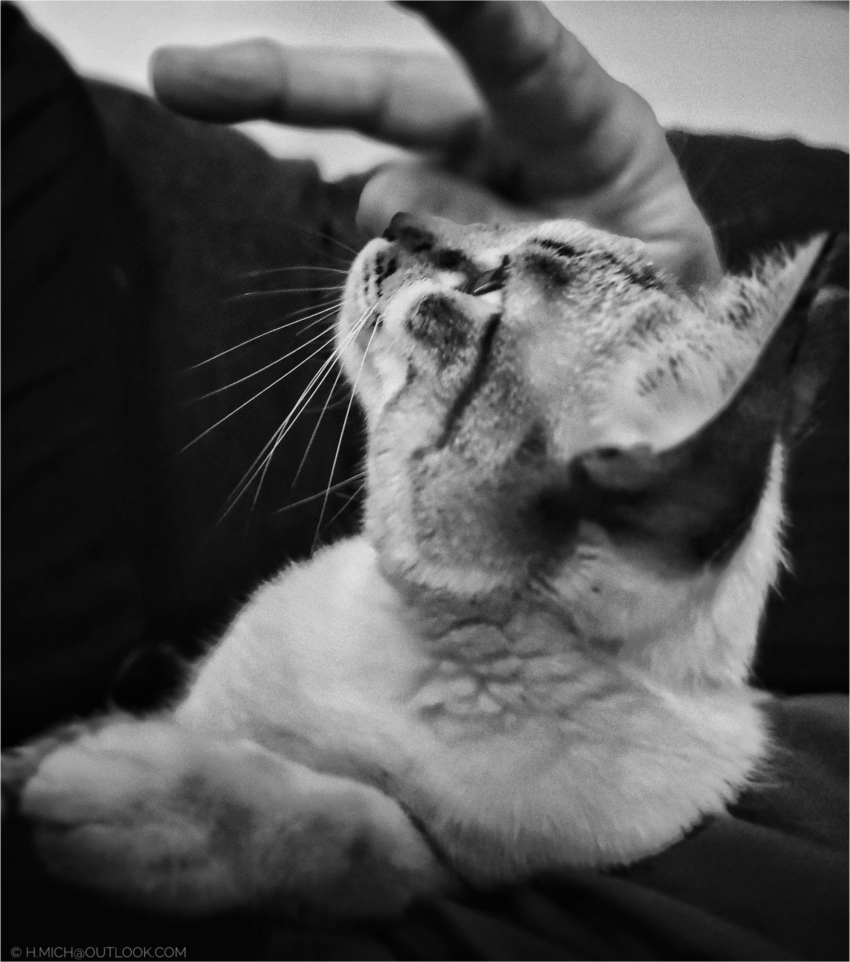 Studio-One.Art.br Repo Fotografia em Rio Preto SP/Brasil