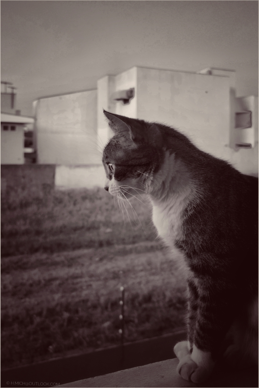 Studio-One.Art.br Repo Fotografia em Rio Preto SP/Brasil