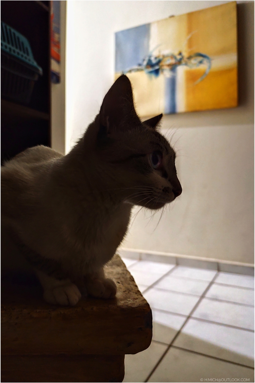 Studio-One.Art.br Repo Fotografia em Rio Preto SP/Brasil