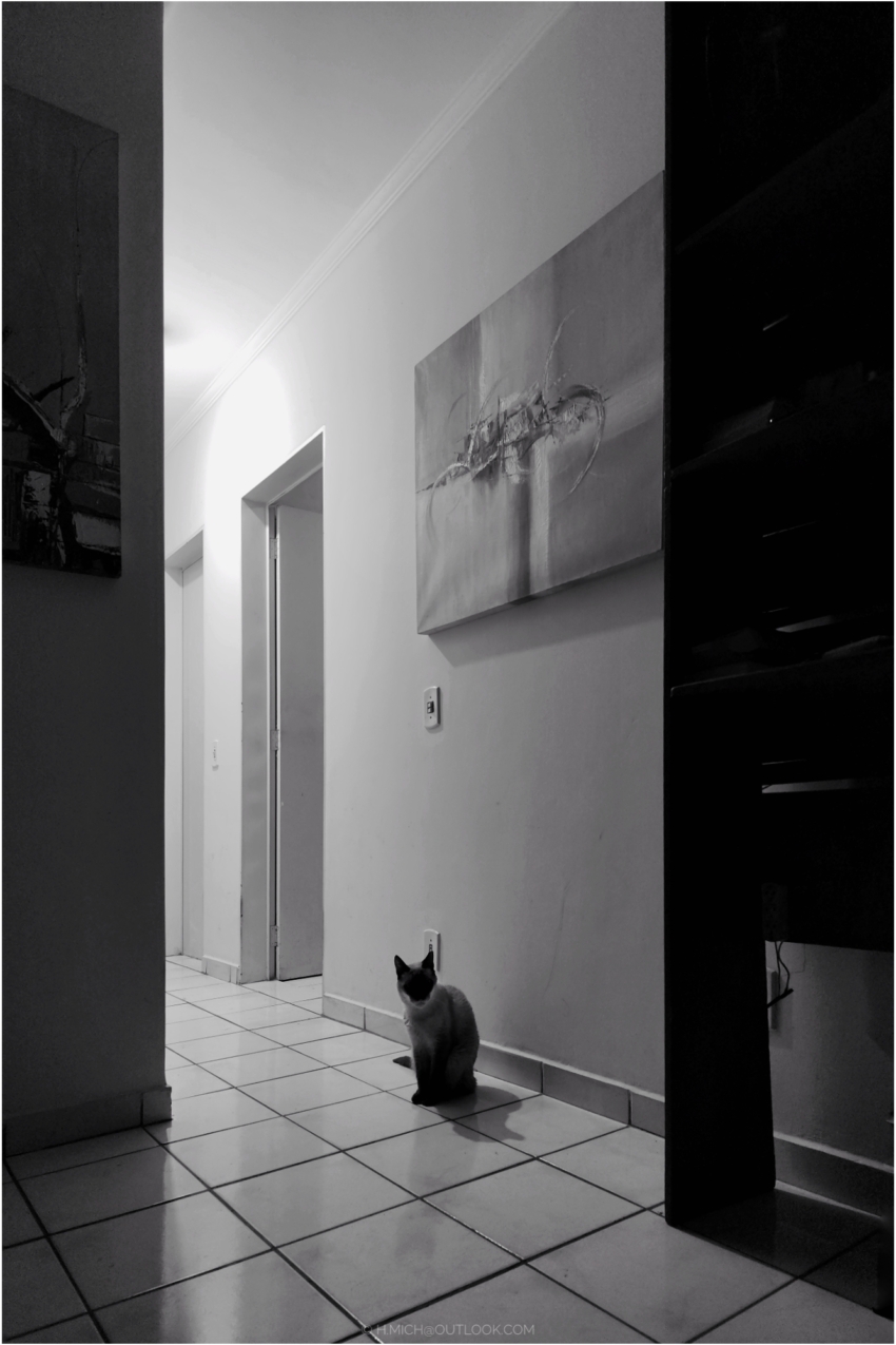 Studio-One.Art.br Repo Fotografia em Rio Preto SP/Brasil