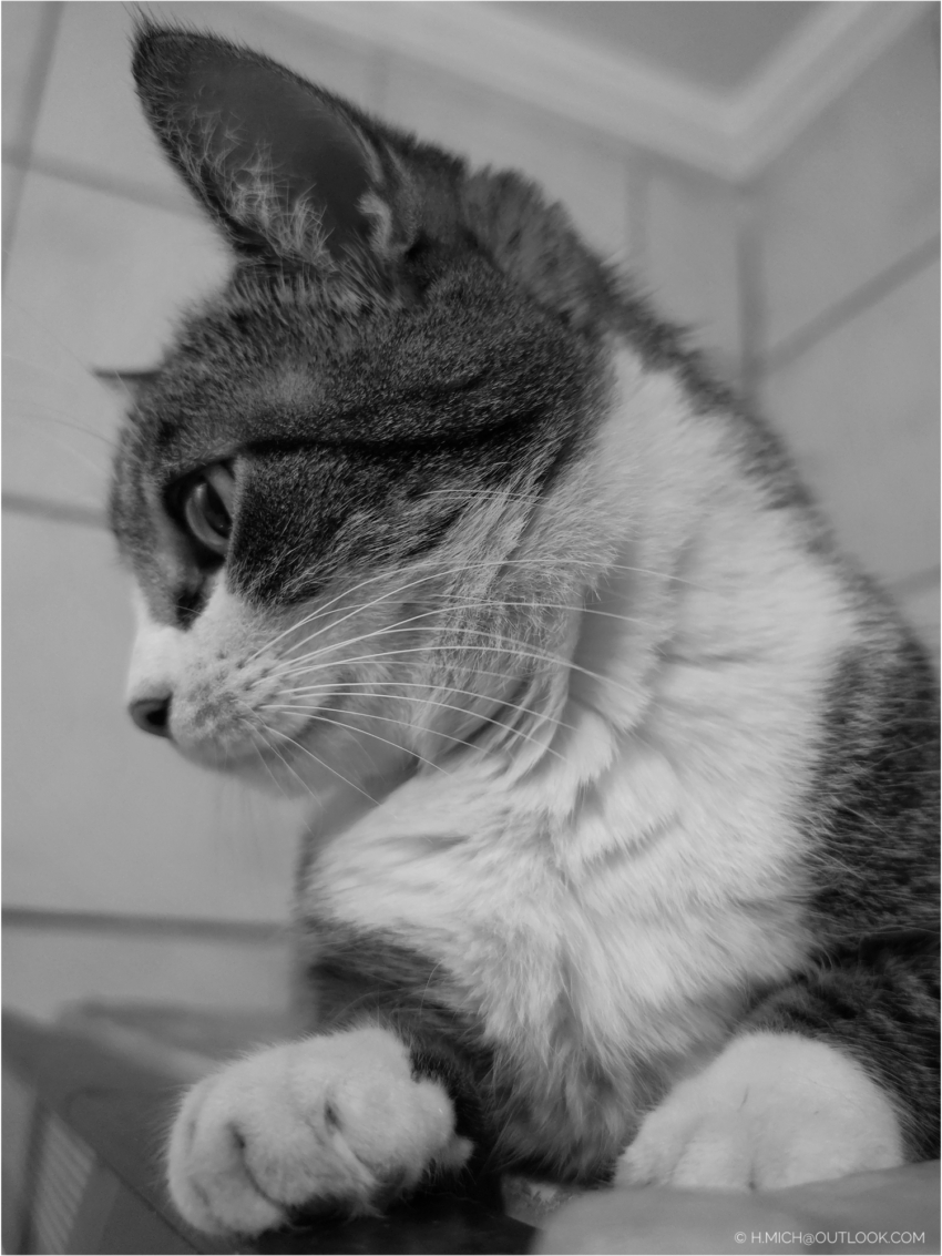 Studio-One.Art.br Repo Fotografia em Rio Preto SP/Brasil