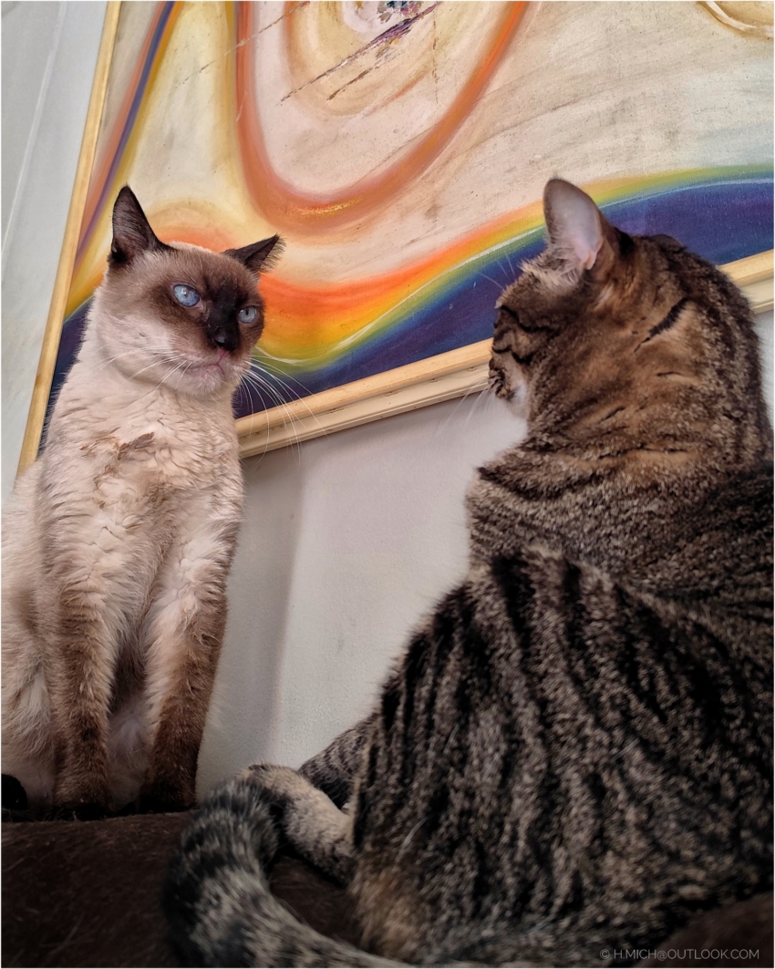 Studio-One.Art.br Repo Fotografia em Rio Preto SP/Brasil