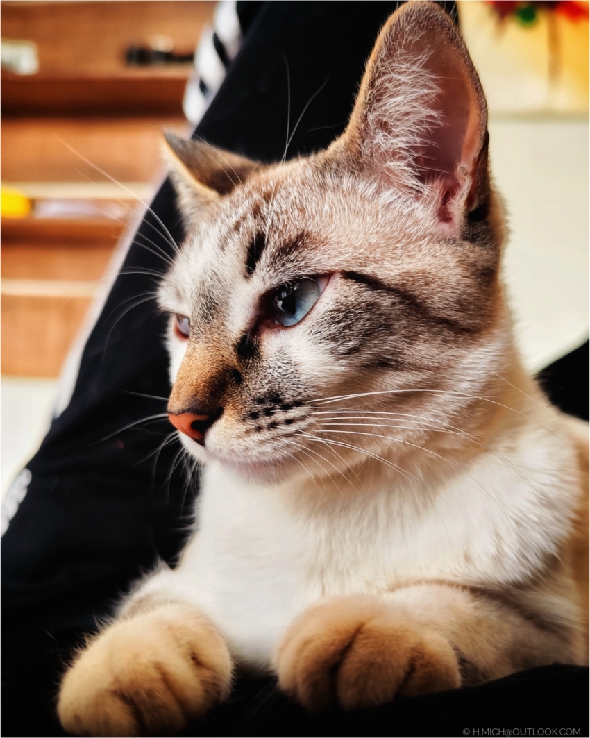 Studio-One.Art.br Repo Fotografia em Rio Preto SP/Brasil