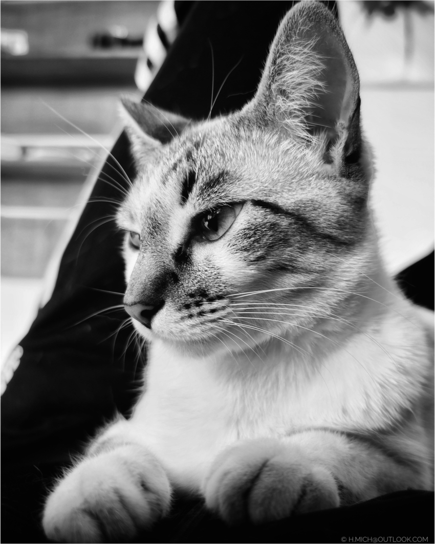 Studio-One.Art.br Repo Fotografia em Rio Preto SP/Brasil