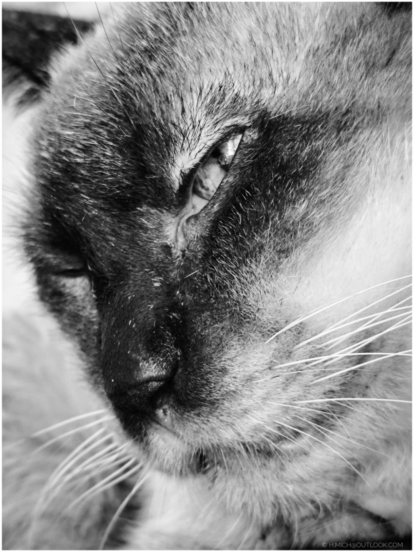 Studio-One.Art.br Repo Fotografia em Rio Preto SP/Brasil