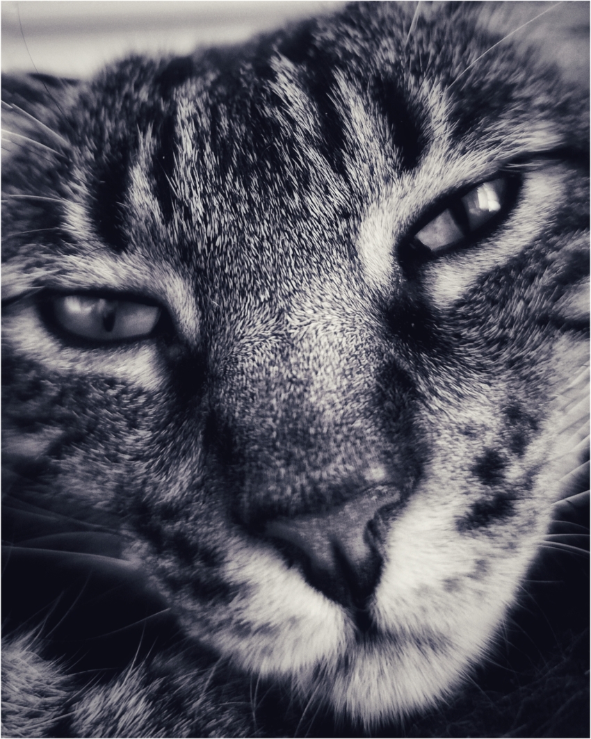 Studio-One.Art.br Repo Fotografia em Rio Preto SP/Brasil