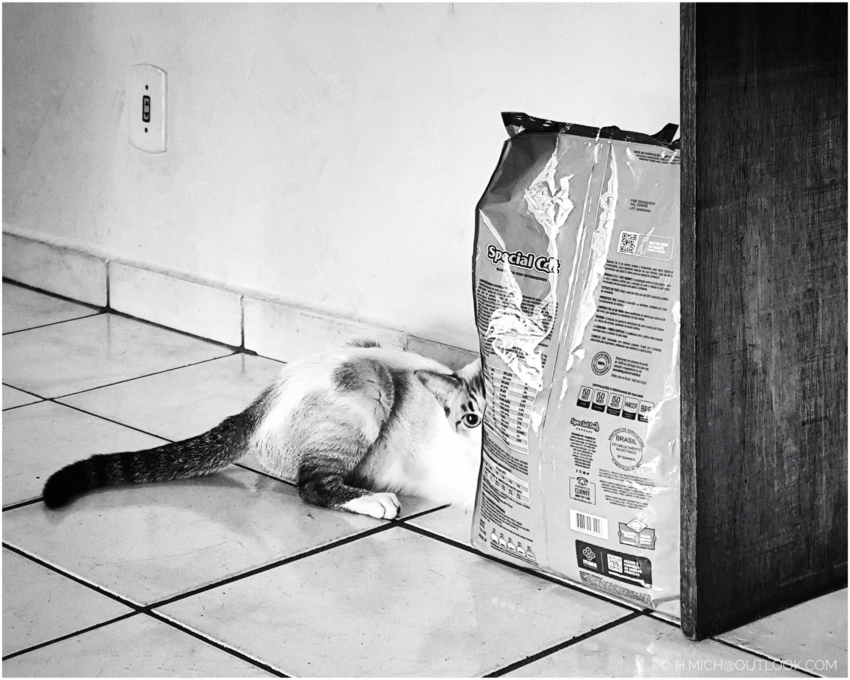 Studio-One.Art.br Repo Fotografia em Rio Preto SP/Brasil