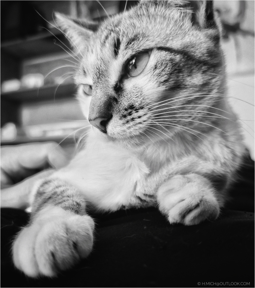 Studio-One.Art.br Repo Fotografia em Rio Preto SP/Brasil